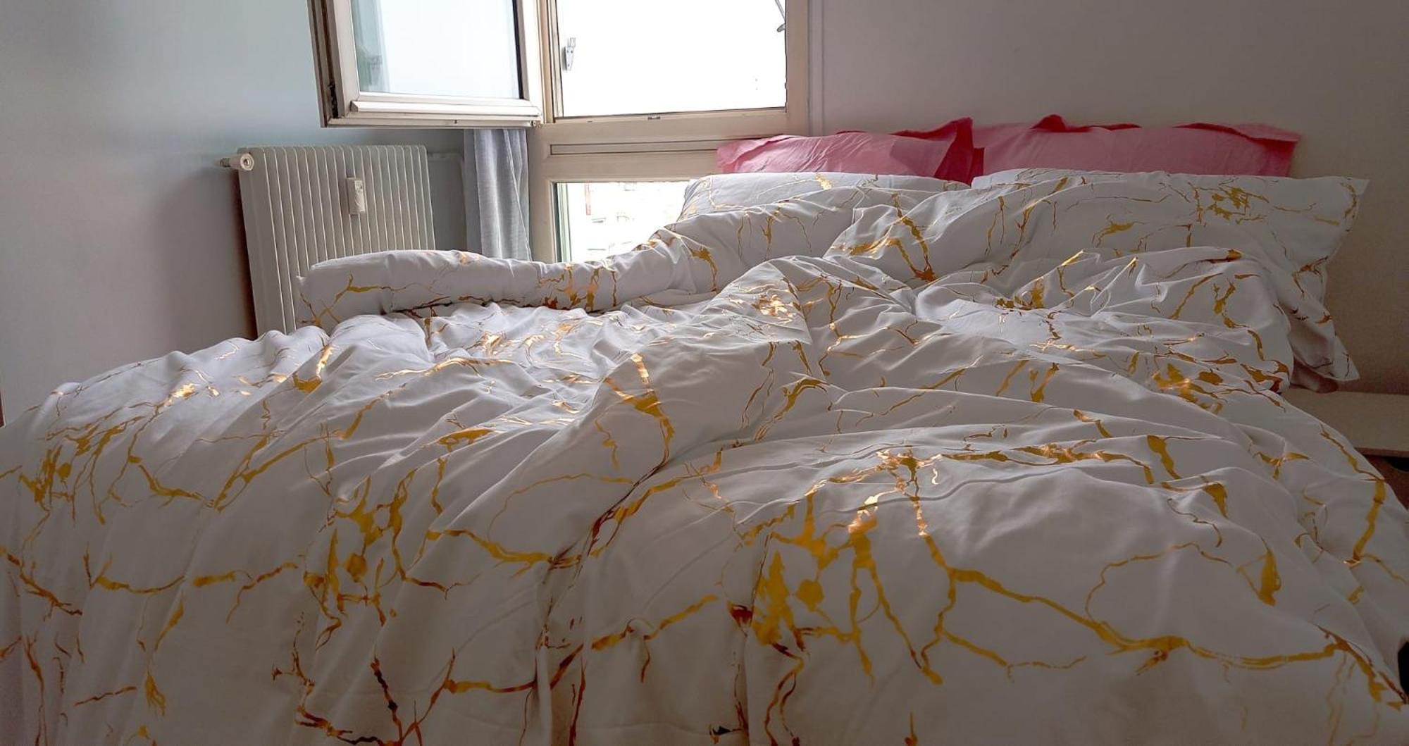Mariana-Basel Apartment Maisons-Alfort Ngoại thất bức ảnh